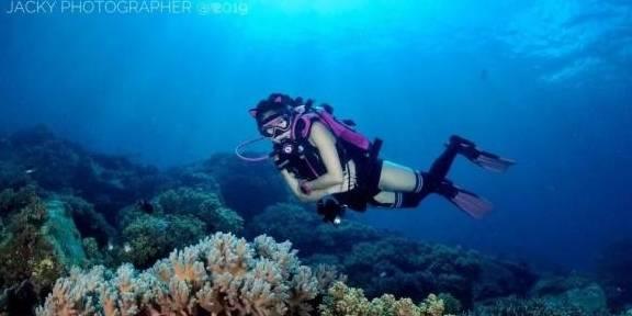 孤独的流浪者救援